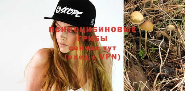 тгк Алзамай