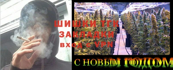 герыч Алексин