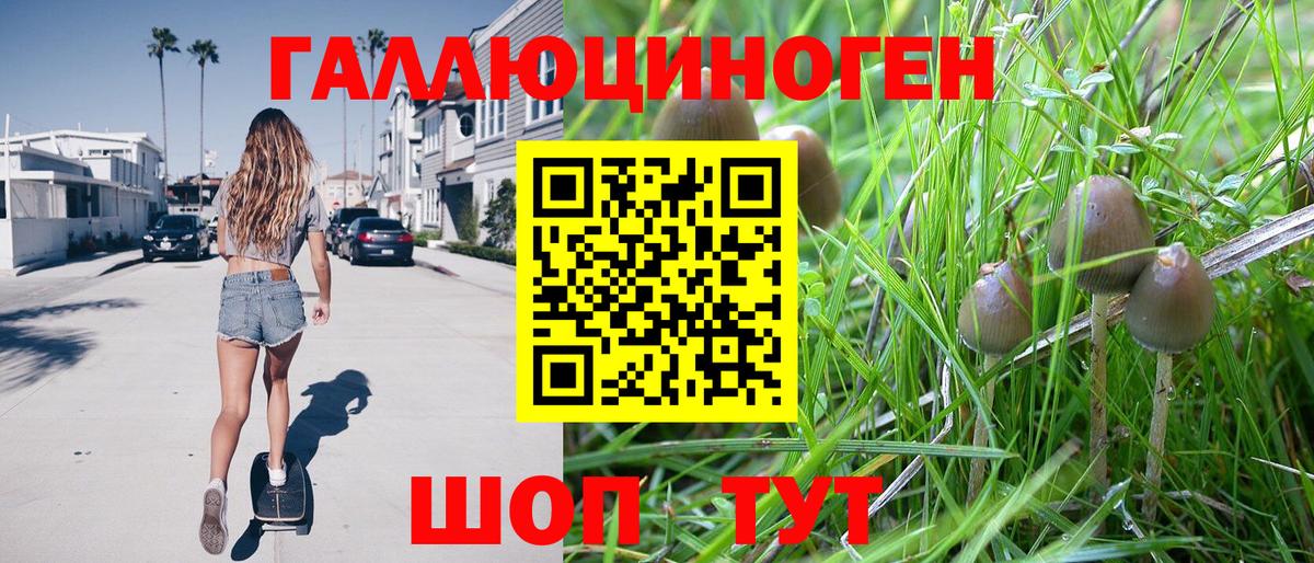 Псилоцибиновые грибы MAGIC MUSHROOMS Елабуга